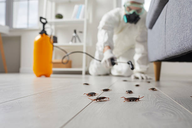 Commercial Kitchen Cockroach Control in Stevensville